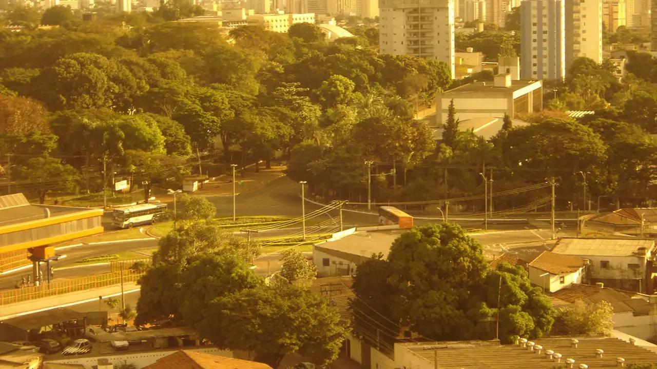 Gestão de Tráfego em Goiânia