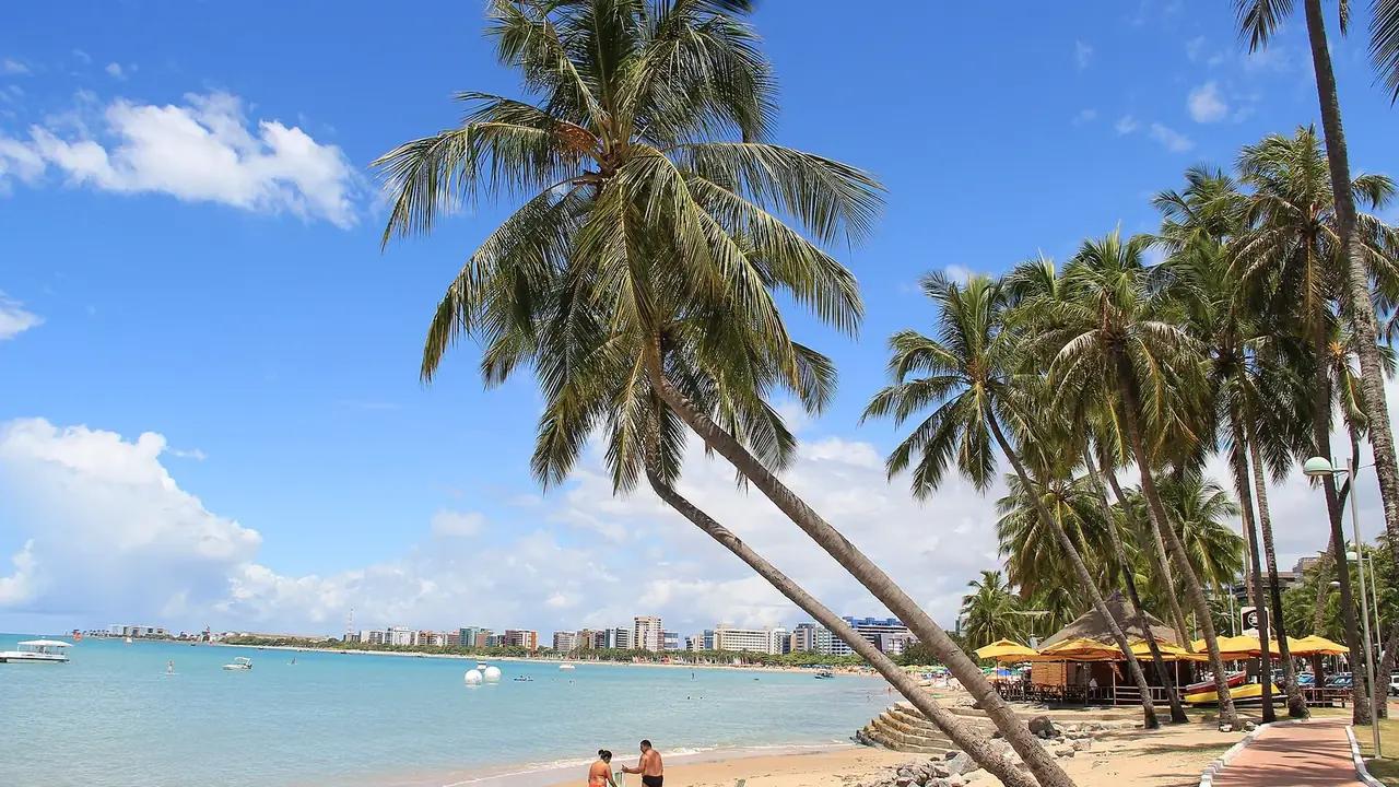 Gestão de Tráfego em Maceió