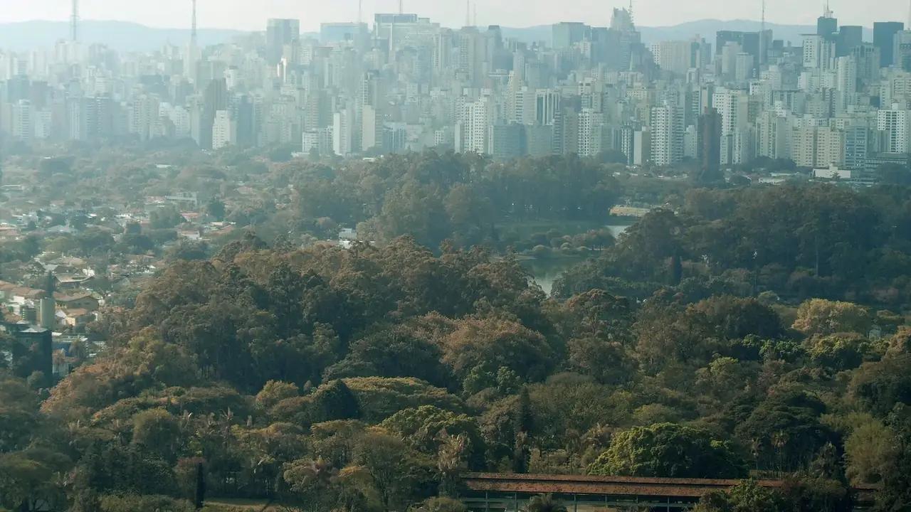 Gestão de Tráfego em São Paulo